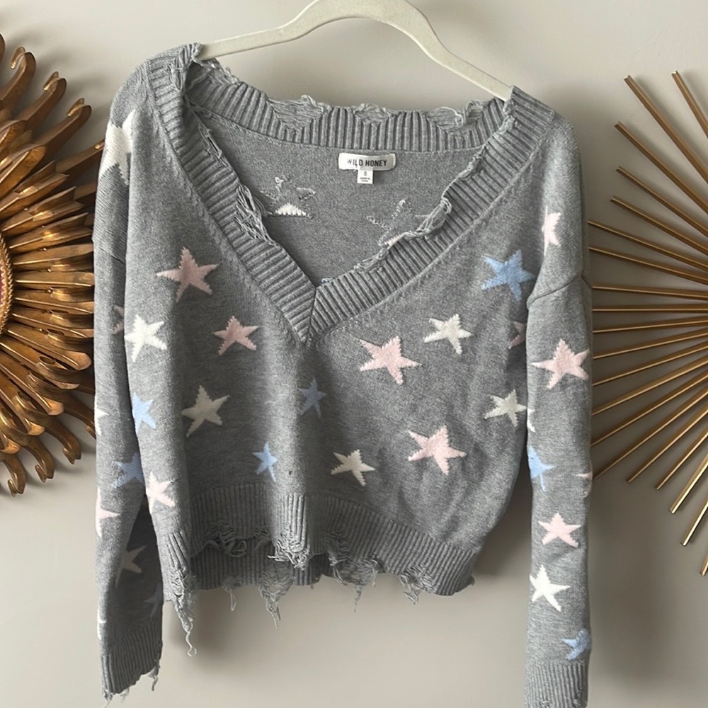 Wild Honey Small Cropped Star Sweater